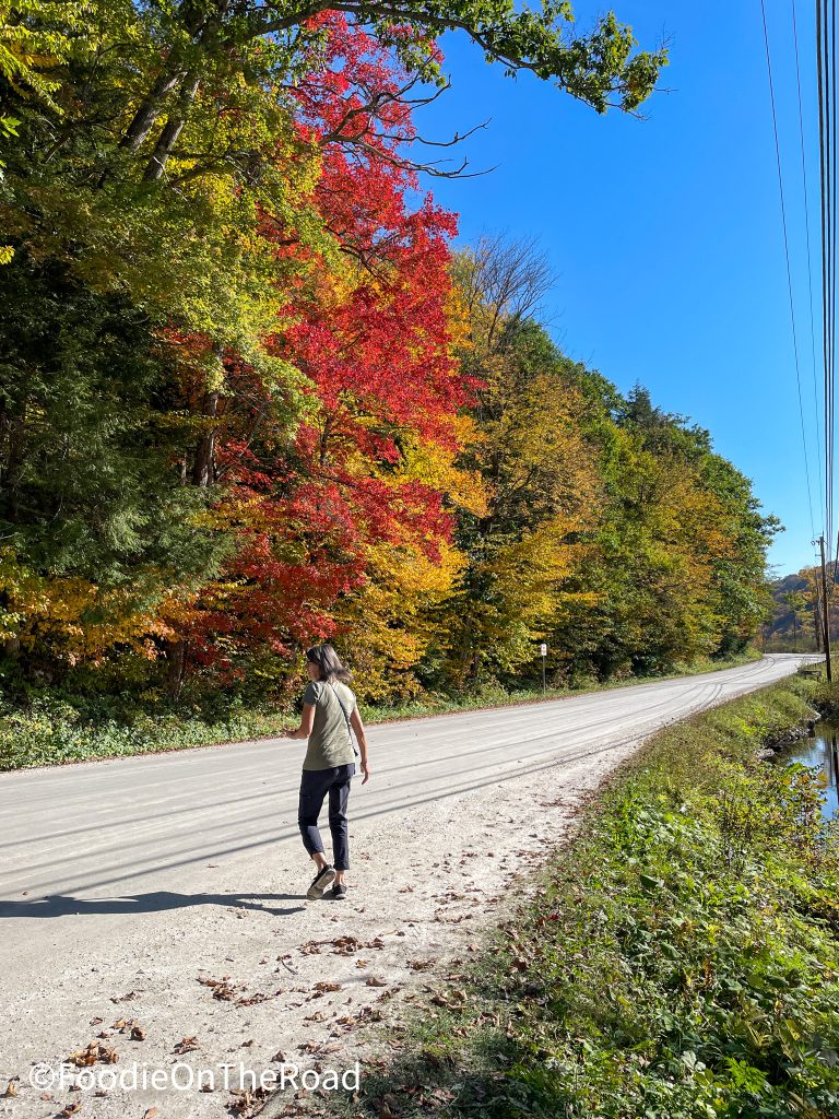 Where to Visit In Vermont in Fall – 6 Best Things to Do